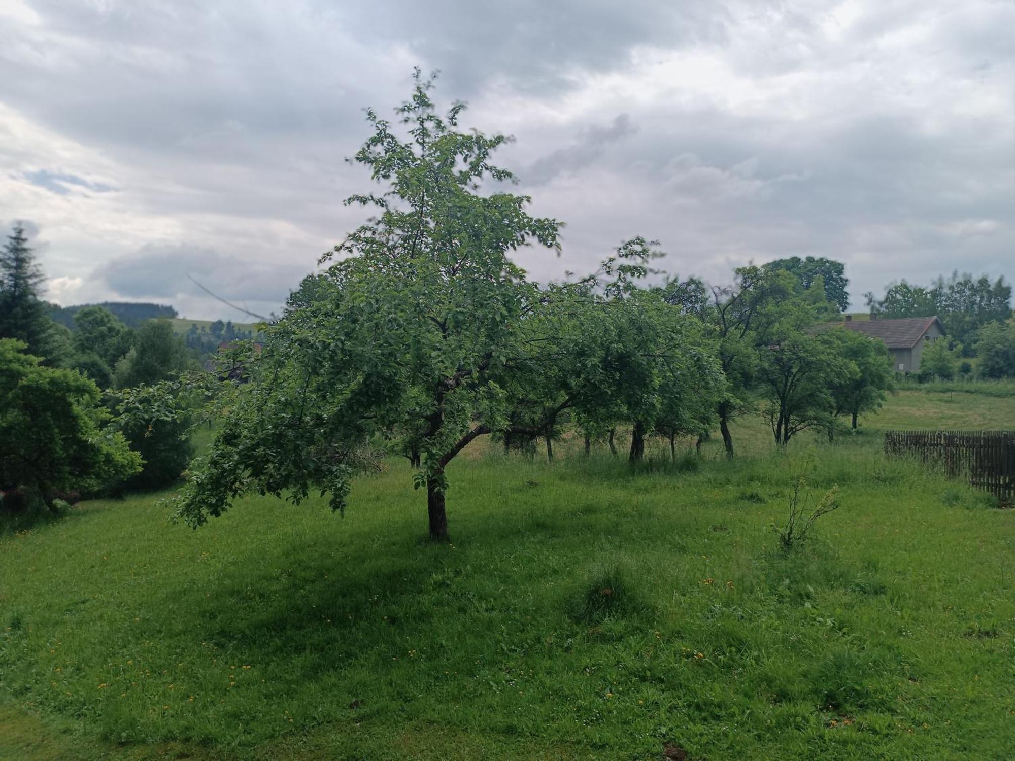 Chalupa U Kuby Vysoké nad Jizerou Extérieur photo